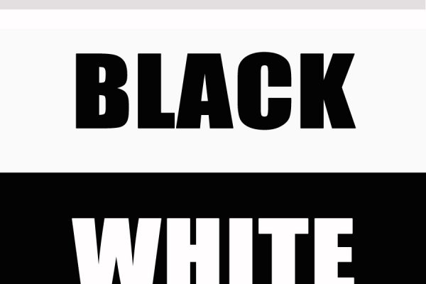 Visalia Art League 2011 Members Exhibition Black White