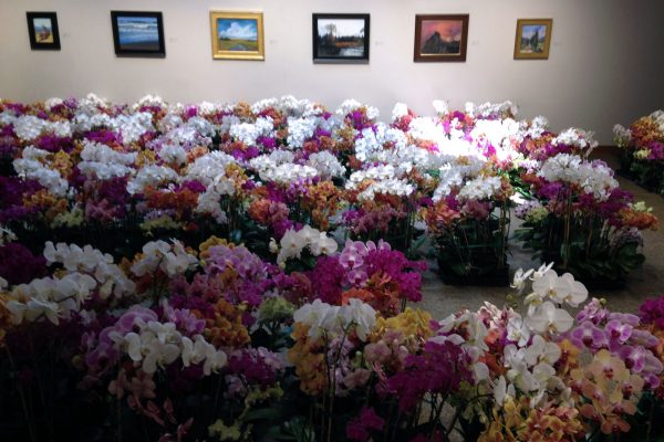 2023 ANNUAL ORCHID SALE FUNDRAISER