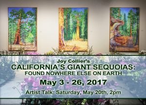 Joy Collier Giant Sequoias